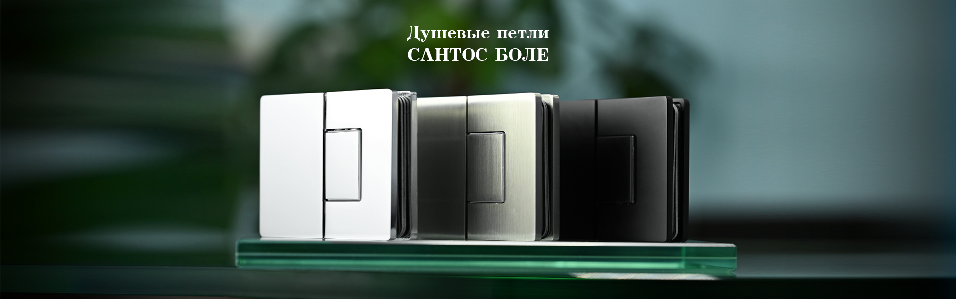 1920х600_Основной_сантос